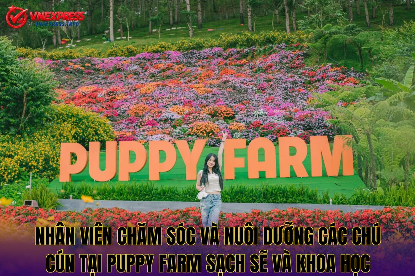 Nhân viên chăm sóc và nuôi dưỡng các chú cún tại Puppy Farm sạch sẽ và khoa học