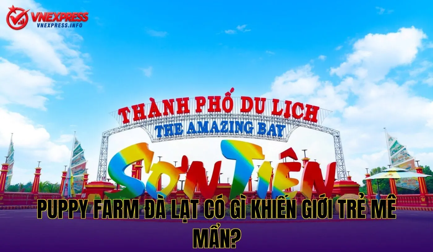 Puppy Farm Đà Lạt có gì khiến giới trẻ mê mẩn?