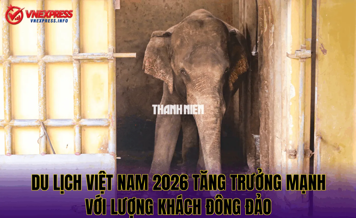 Du lịch Việt Nam 2026 tăng trưởng mạnh với lượng khách đông đảo