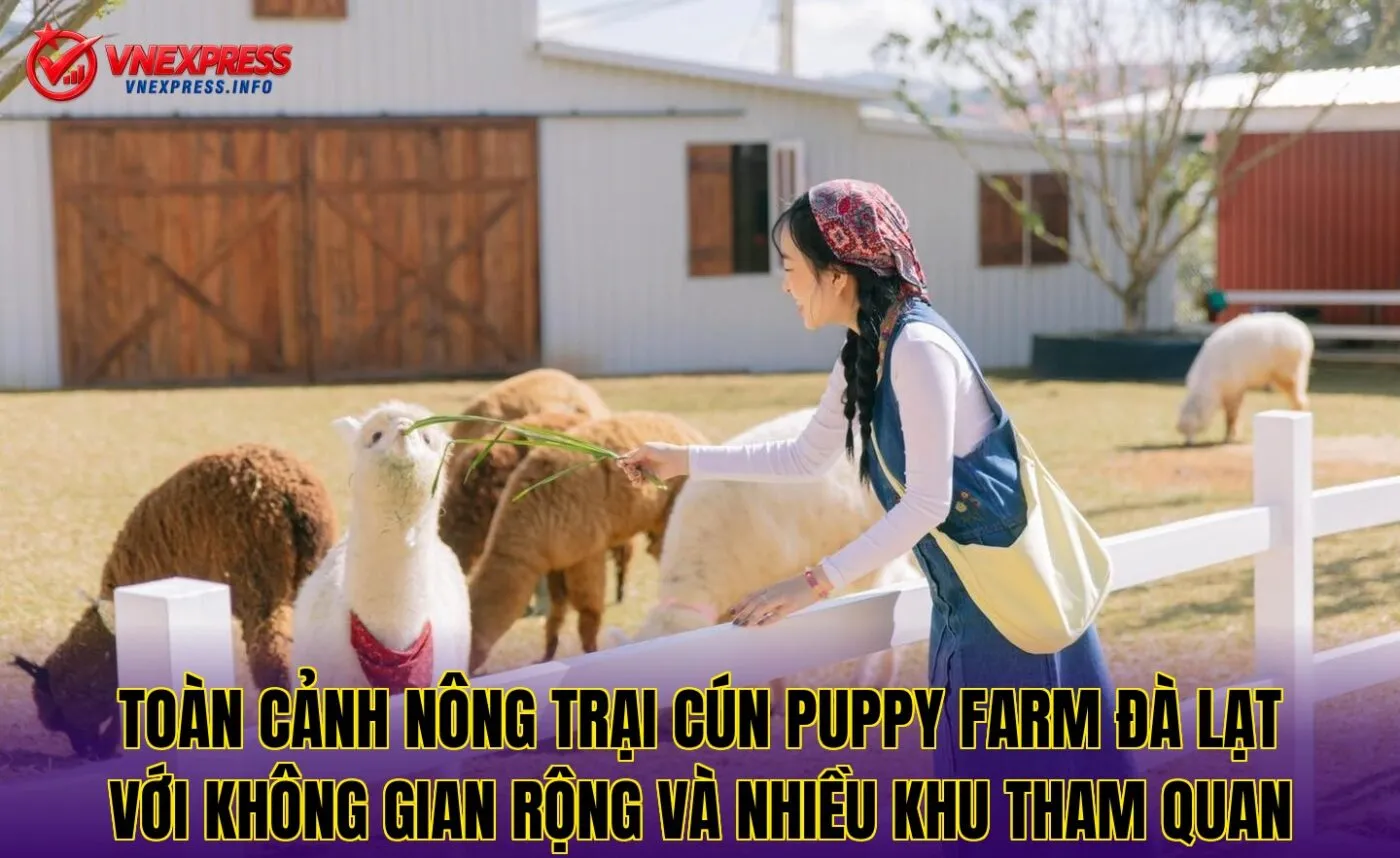Toàn cảnh nông trại cún Puppy Farm Đà Lạt với không gian rộng và nhiều khu tham quan