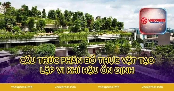 Cấu trúc phân bổ thực vật tạo lập vi khí hậu ổn định